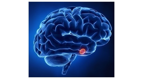 Pituitary Tumours